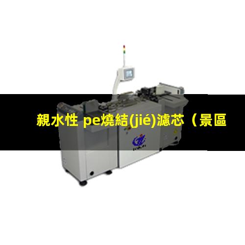 親水性 pe燒結(jié)濾芯